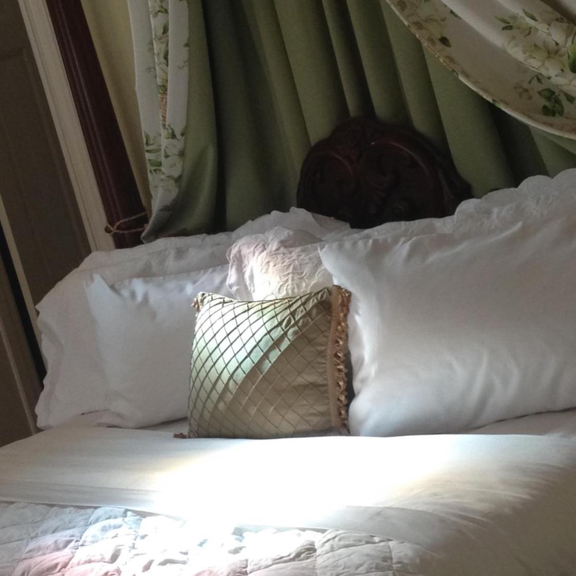 メイコン Burke Mansion Bed & Breakfast エクステリア 写真